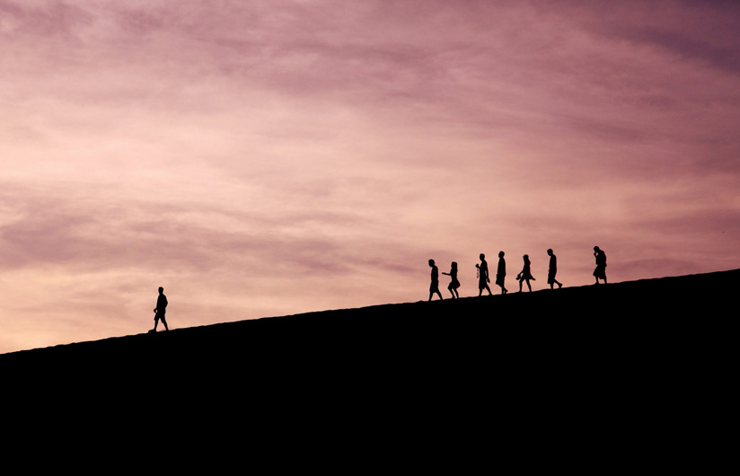 Individual leadership consulting